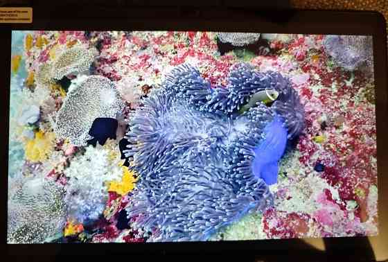 Планшет: Teclast T50HD 6/256Gb. LTE Unisoc T606 (1920x1200) 8000mAh. Київ