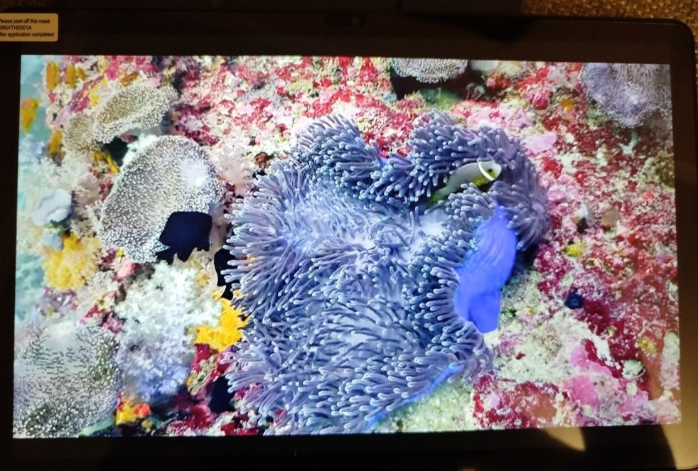 Планшет: Teclast T50HD 6/256Gb. LTE Unisoc T606 (1920x1200) 8000mAh. Київ - фото 3