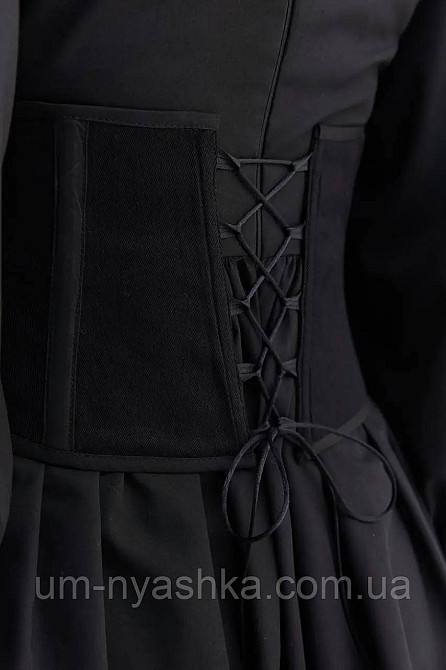 Корсет жіночий та підлітковий корсетний пояс з вишивкою Колоски Кривий Ріг - фото 3