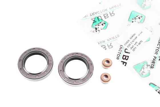 Сальник (30x45x8) колінвала + сальники клапанів, к-кт 4шт 173F/178F Киев