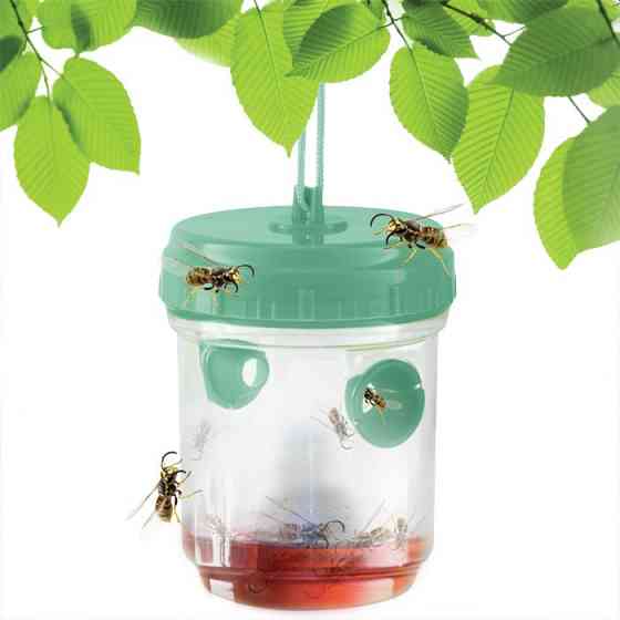 Пастка для ос і мух Hunter TY-5009 Одеса