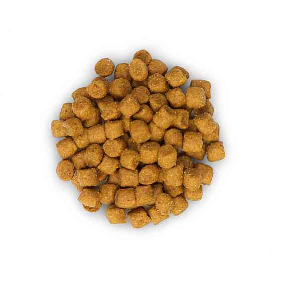 Hills Science Plan Feline Adult 1-6 Tuna (Хиллс СП Филайн Эдалт 1-6 Тунец) для взрослых кошек 1-6 лет 10 кг Запорожье