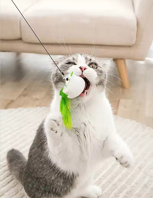 Игрушка для котика на палочке птичка с колокольчиком на присоске 90 см салатовый Киев - изображение 7