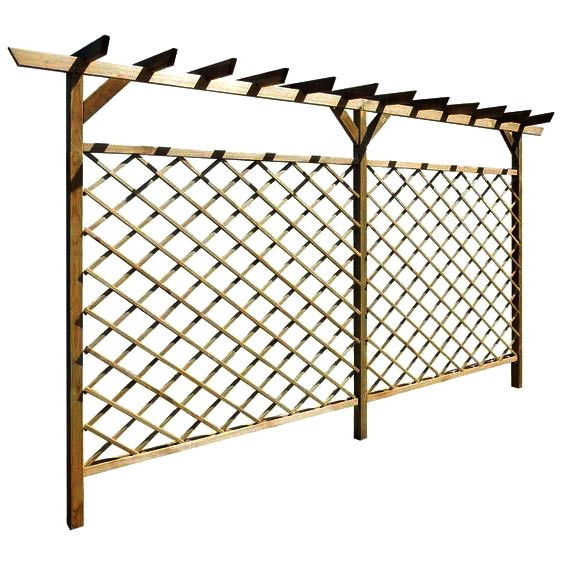 Пергола-шпалера "Насирія" мускат Миколаїв - фото 1