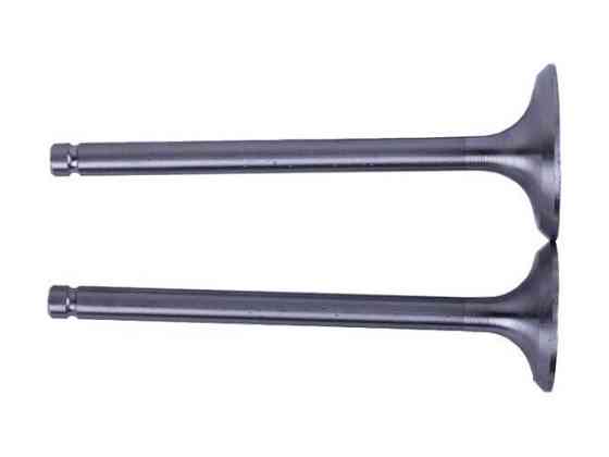 Клапаны  для дизельного двигателя 195N, L-120 мм, к-т 2 шт. Зубр Мукачево