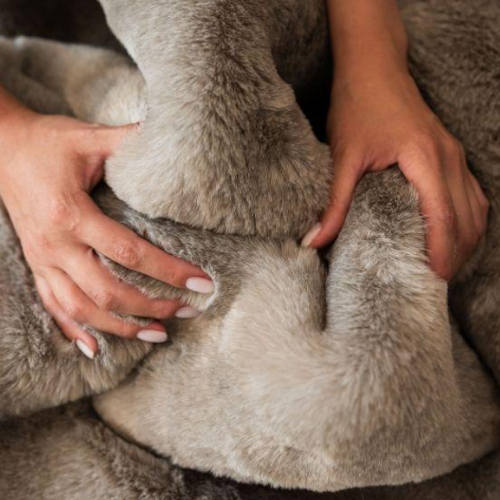 Килимок для підлоги еко-хутро Elegant 60*120см кварц Дариана Житомир - изображение 6