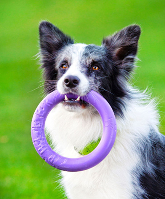 Тренувальний снаряд для собак PULLER Midi, діаметр 19,5 см Вінниця - фото 7