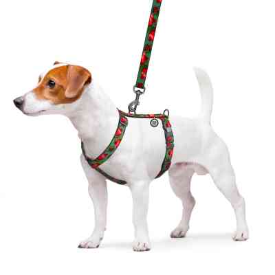 Шлей для собак WAUDOG Nylon анатомическая H-образная с QR-паспортом "Гранаты" пластиковый фастекс, L (345-4052) Винница