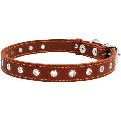 Нашийник для тварин Collar безрозмірний 20 мм 50 см (коричневий) (01516) Вінниця
