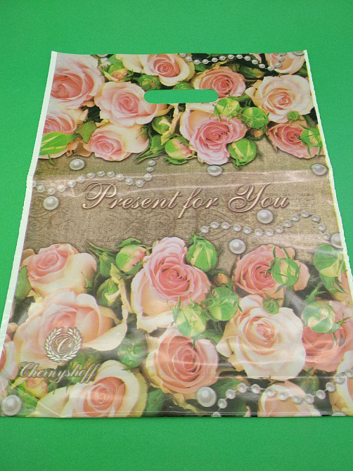 Пакети з вирубний ручкою 29х37см "Презент" Ренпако уп/50 штук Харків - фото 1