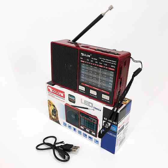 Аналоговий радіоприймач з хорошим звуком, Радіоприймач 220v, Радіо з підтримкою флеш-карт DW-84 Львів