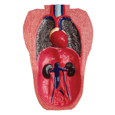 Пазл 4D Master Горила (FM-622012) Вінниця - фото 7