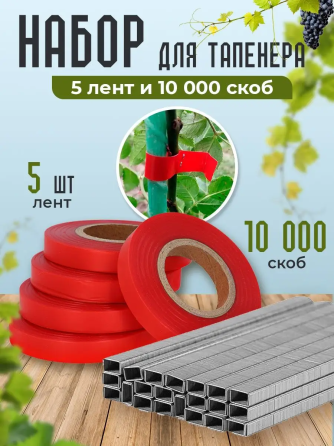 Набір для садового степлера тапенера: підвʼязочна стрічка 5 шт (150 м) + скоби (10000 шт) Київ