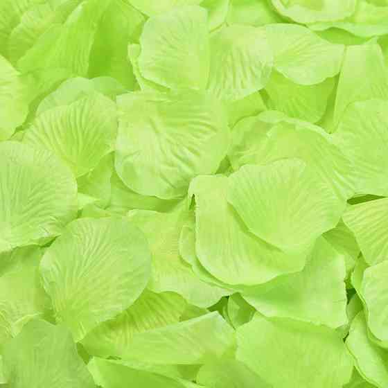 Пелюстки троянд штучні 100 штук 45 на 45 мм фруктово-зелений Київ