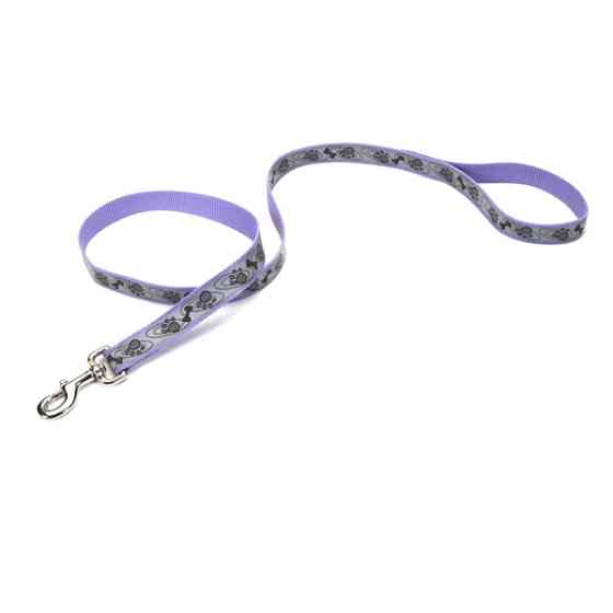 Coastal Lazer Brite Reflective Leash КОСТАЛ ЛАЗЕР БРАЙТ светоотражающий поводок для собак, 1.6смХ1.2м Киев