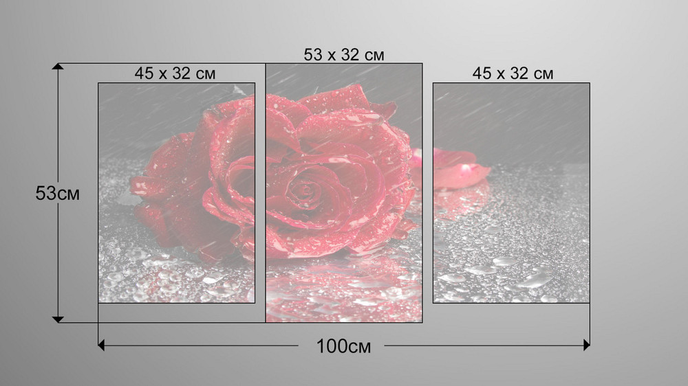 Модульная картина Цветы Роза (53x100см)  Art-85_3 Киев - изображение 3