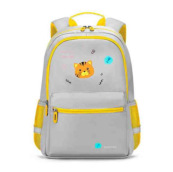 Рюкзак Tigernu T-B9030A 15.6" Grey (T-B9030A) Київ