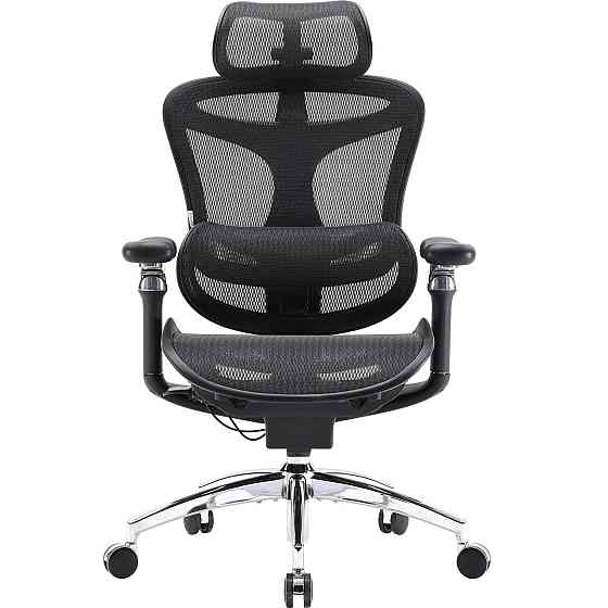 Крісло офісне Sihoo Doro C300 Pro Mesh Black (DORO-C300-PRO-M101) ( 17925 ) Харків