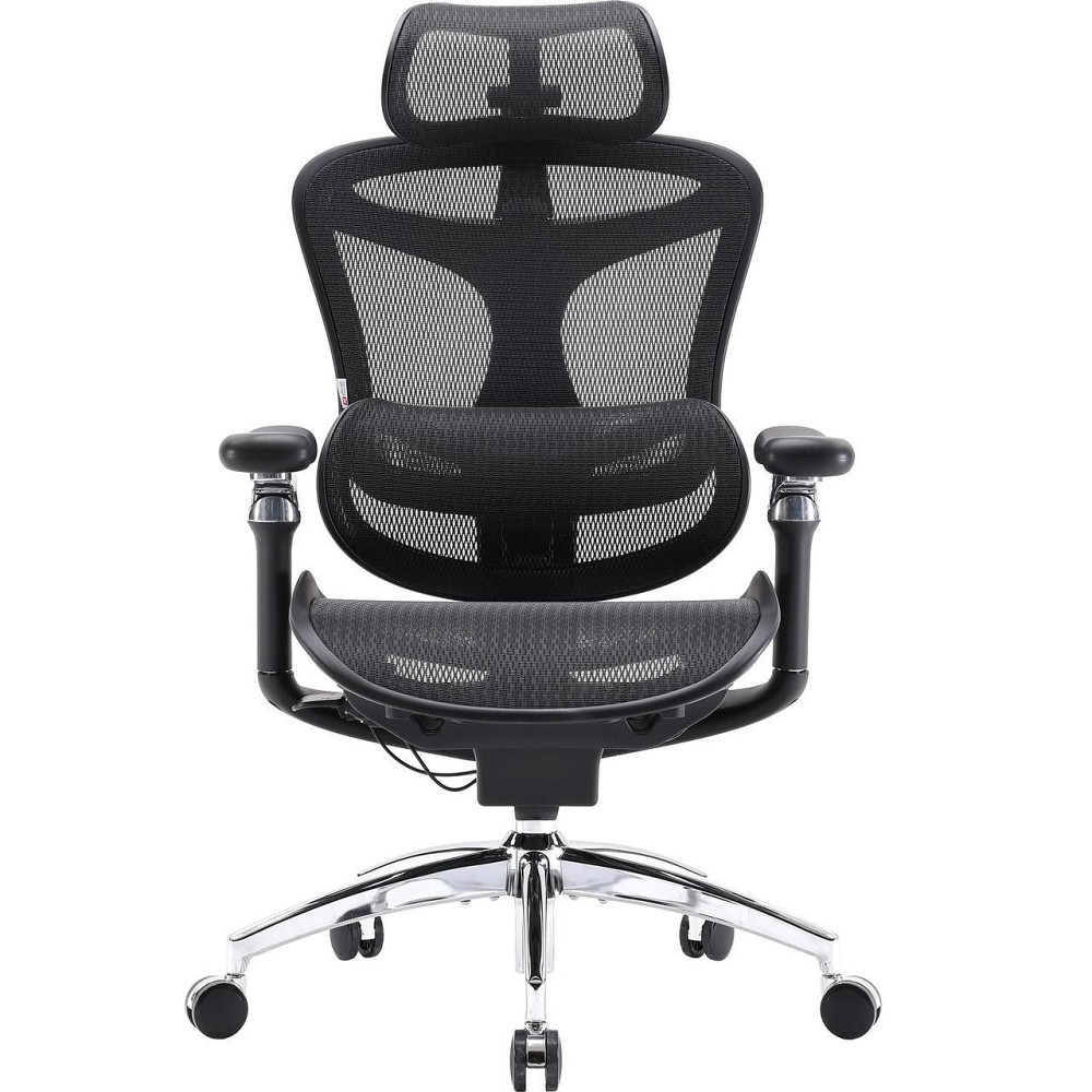 Крісло офісне Sihoo Doro C300 Pro Mesh Black (DORO-C300-PRO-M101) ( 17925 ) Харків - фото 2