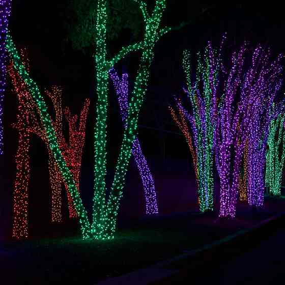 Світлодіодна новорічна гирлянда Бахрома 120 LED, 5м Київ