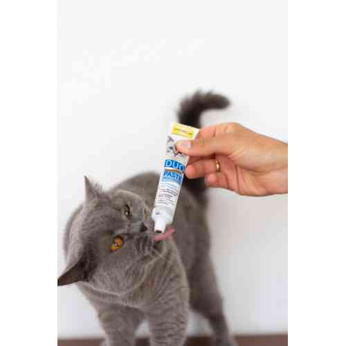 Паста GimCat DUO PASTE Multi-vitamin 12 vitamins with tuna для котів усіх порід 12 вітамінів та тунець 50г Київ