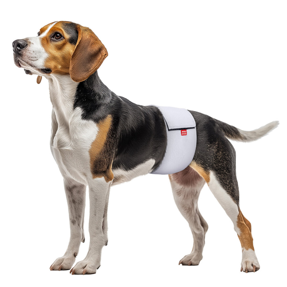 Пояс гигиенический для кобелей WAUDOG Vet на липучке, серый, M, А 42-50 см Киев - изображение 3