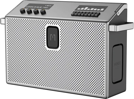 Портативная колонка Mondo by Defunc BT Speaker Large - Przenośny bezprzewodowy Динамік Bluetooth 5.3 Metal Grey Киев