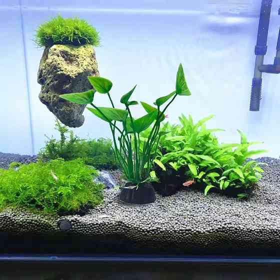 Искусственные растения для аквариума 10 см зеленый Киев
