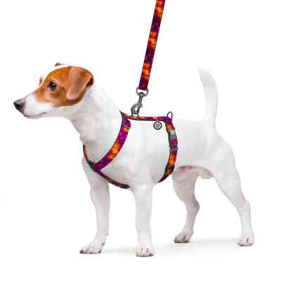 Шлея для собак WAUDOG Nylon анатомічна H-подібна з QR-паспортом "Куби 3Д" пластиковий фастекс, M (344-4057) Вінниця