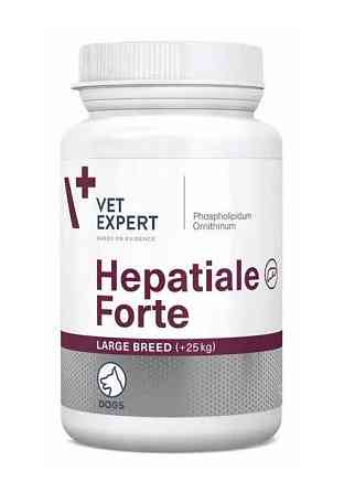 Кормова добавка Vet Expert HEPATIALE  Forte Large Breed +25 кг для підтримки функцій печінки великих порід собак 40 шт до 01.27 Вінниця
