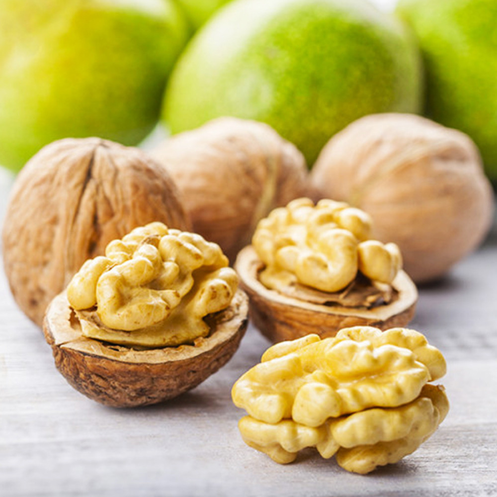 Саджанці грецького горіха Десертний (привитий) - 2-річний Чернівці - фото 2