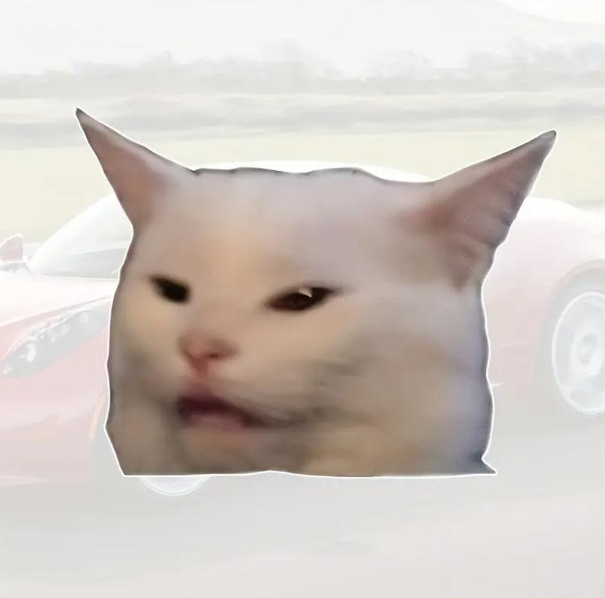 Водонепроницаемая наклейка с котом, стойкая виниловая наклейка для авто, мотоциклов, ноутбуков, стек Киев - изображение 3