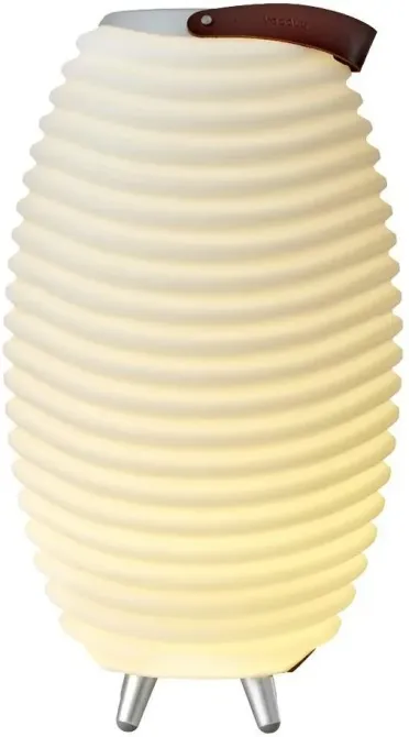 Портативная колонка Kooduu Synergy 50 Киев - изображение 1