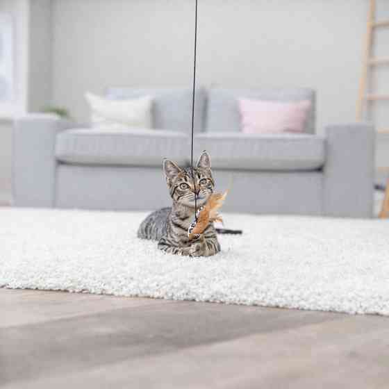 Іграшка Trixie для котів Вудочка з серцем котяча м_ята плюш/дерево 50 см Київ