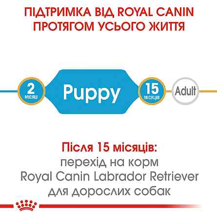 Корм для щенков породы Лабрадор-ретривер ROYAL CANIN LABRADOR PUPPY 3 кг Киев