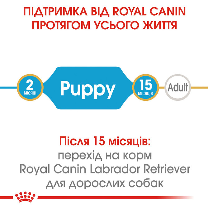 Корм для щенков породы Лабрадор-ретривер ROYAL CANIN LABRADOR PUPPY 3 кг Киев - изображение 2