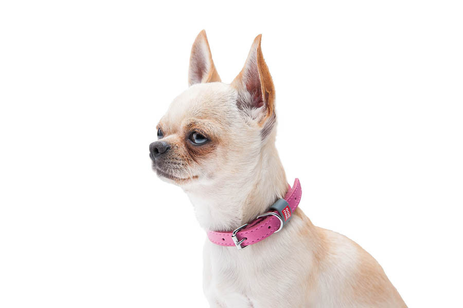 Нашийник для собак шкіряний WAUDOG Classic, Ш 12 мм, Дов 19-25 см рожевий Коломия - фото 8