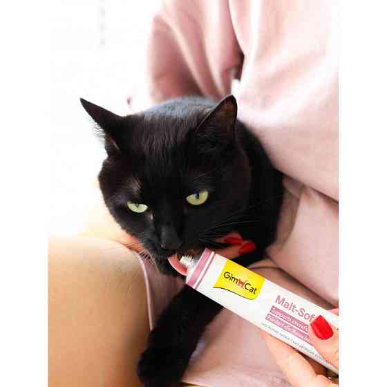 Паста GimCat Every Day Malt-Soft Paste Extra для котів, виведення шерсті зі шлунку, 100 г Вінниця