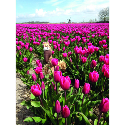 Іграшка для собак Trixie Гриф Густав Тканина і плюш 28 см (4011905359311) Вінниця - фото 6