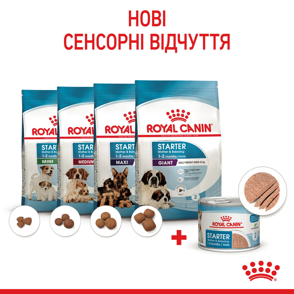 Royal Canin Starter Mousse Mother Babydog (Роял Канін Стартер) вологий корм для вагітних собак 195 г х 12 шт. Запоріжжя - фото 10