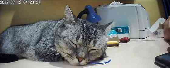 IP- Камера Sonoff Slim Cam Gen 2 Ewelink Київ