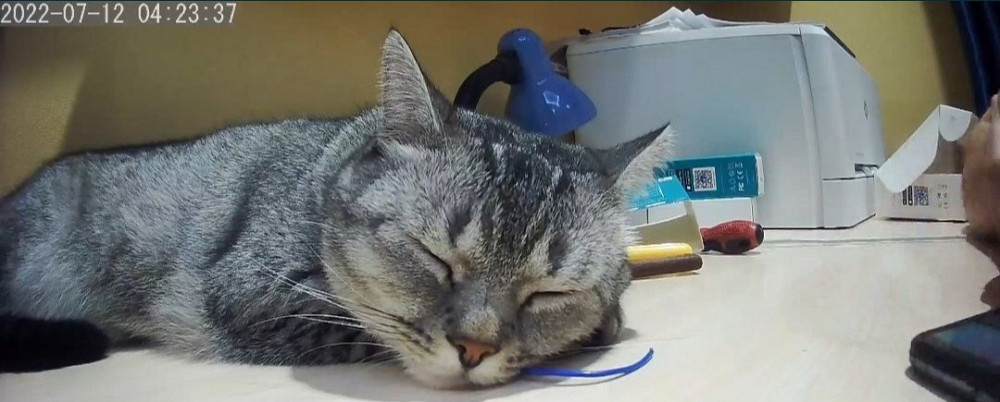 IP- Камера Sonoff Slim Cam Gen 2 Ewelink Київ - фото 2