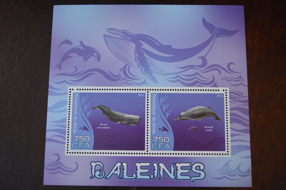 Фортеп. Фауна. Личности. Блок. (А-35) Полтава - фото 1