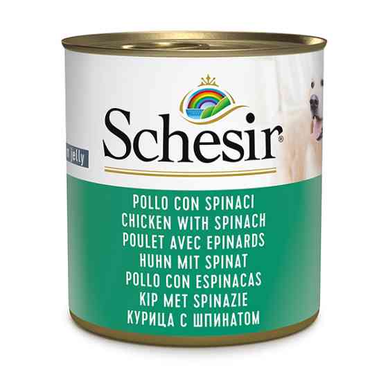Schesir Chicken With Spinach ШЕЗИР КУРИЦА СО ШПИНАТОМ в желе натуральные консервы для собак, влажный корм, банка 285г Киев