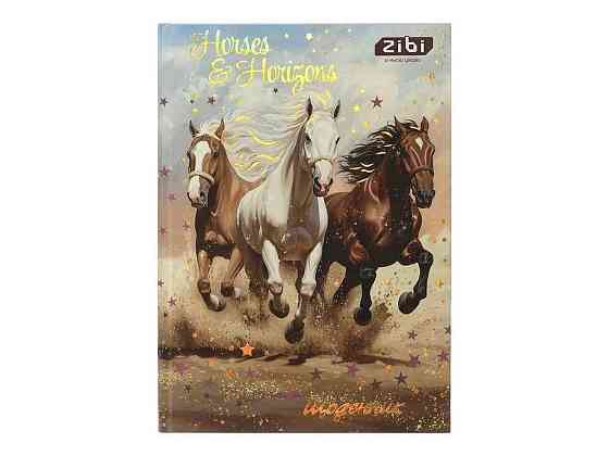Щоденник NIGHT HORSE В5 40арк тверда обкл. ТМ Zibi Київ