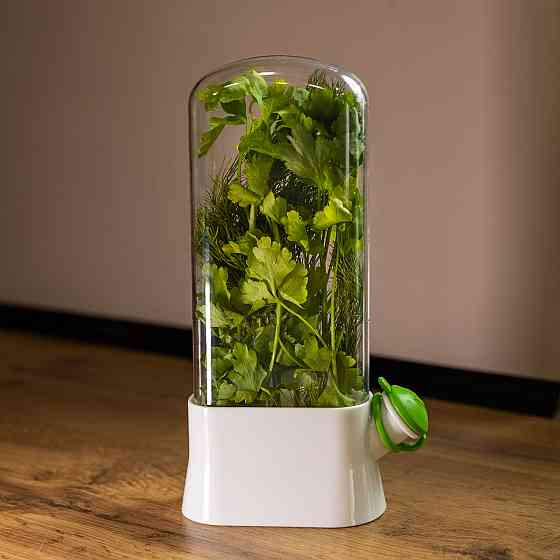 Контейнер для зберігання зелені у холодильнику 14×7×26 см ємність для зелені Білий HP-DS2-1 Коломия