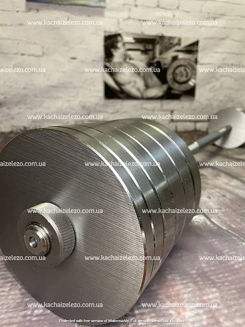 Гантели наборные 2 по 24 кг + Переходник для штанги Гантели, гири, штанги и диски металлические без покрытия Киев - изображение 2