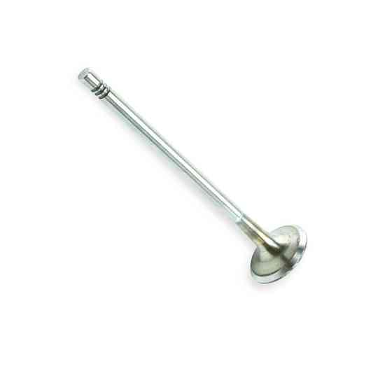 Клапан Фіат 1.9JTD 16v, 2.4jtd 20v впускний Мукачево