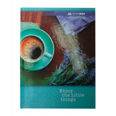 Канцелярская книга Buromax Romantic А4 в линейку 96 листов Бирюзовая (BM.2401-206) Винница - изображение 1
