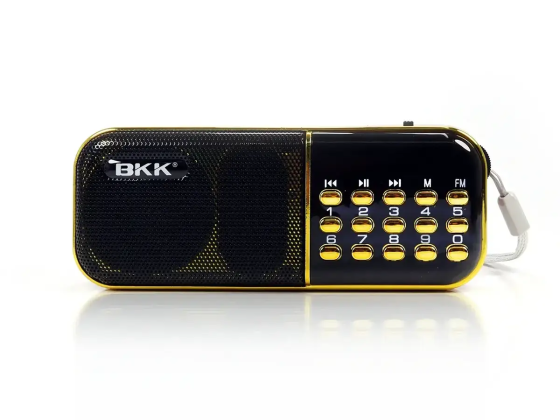 Радіоприймач BKK USB/MP3 B837/ 8212 (100) Київ